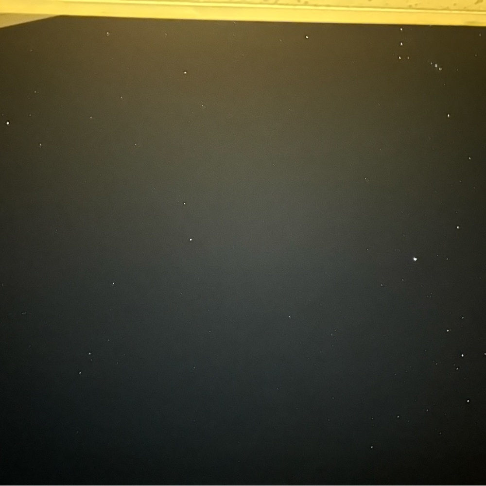 Meet your Posher, Maggie